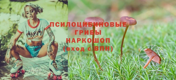 героин Бутурлиновка
