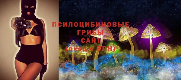Альфа ПВП Арсеньев