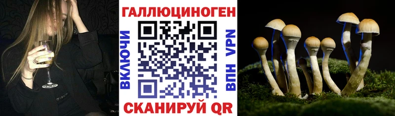 Галлюциногенные грибы Cubensis  Гдов 